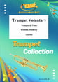 Trumpet Voluntary Trumpet & Piano cover